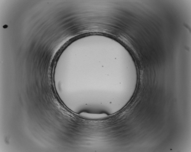 X0000100411068200806271438