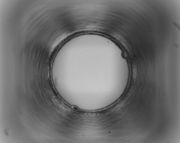 X0000100411069200806271438