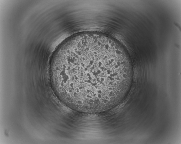 X0000100411071200806271438