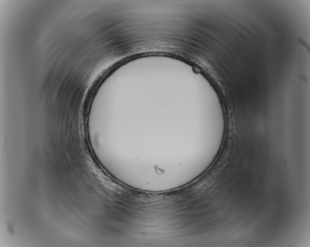 X0000100411072200806271438