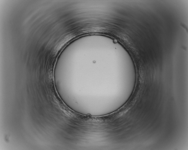 X0000100411073200806271438