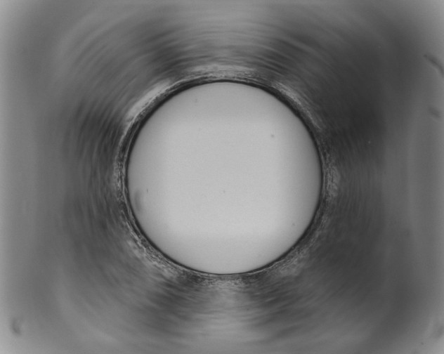 X0000100411074200806271438