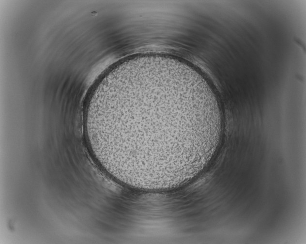 X0000100411075200806271438