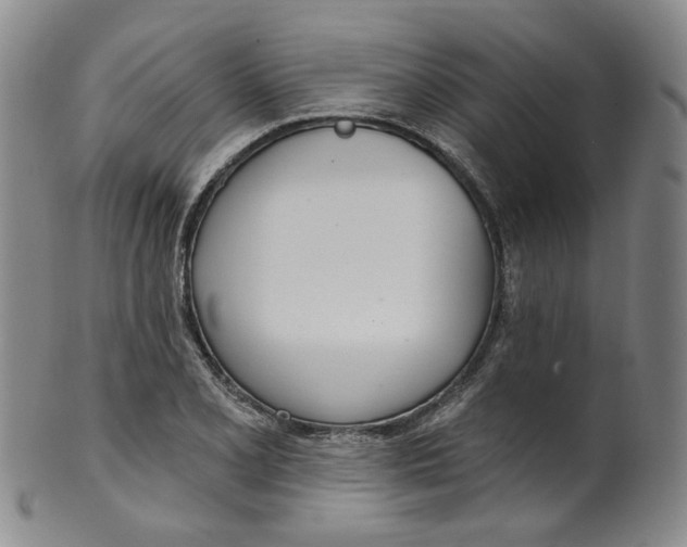 X0000100411077200806271438