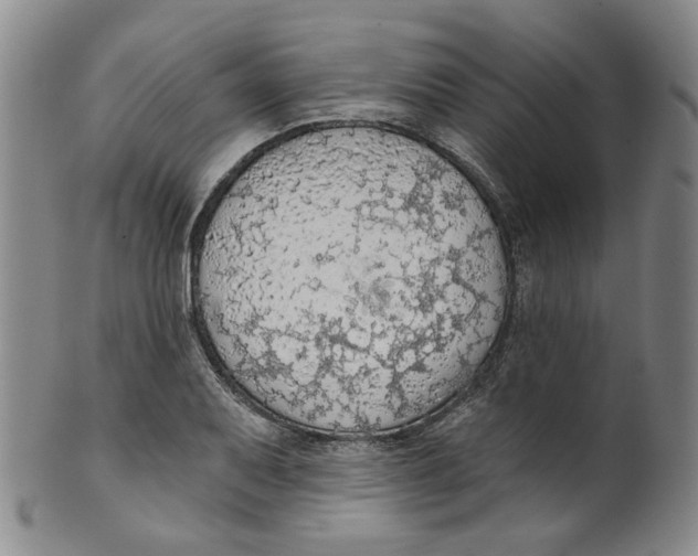 X0000100411079200806271438