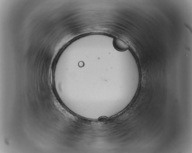 X0000100411080200806271438