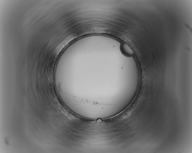 X0000100411081200806271438