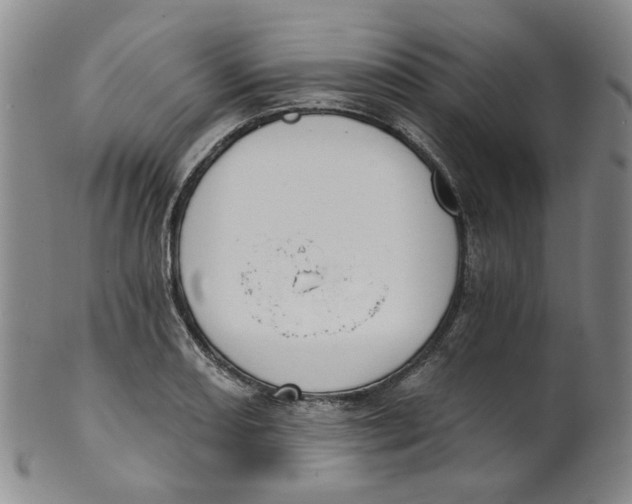 X0000100411082200806271438