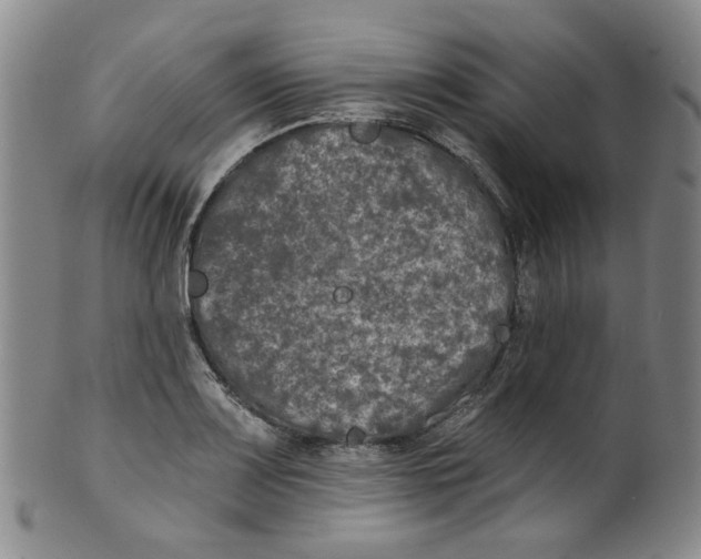 X0000100411083200806271438