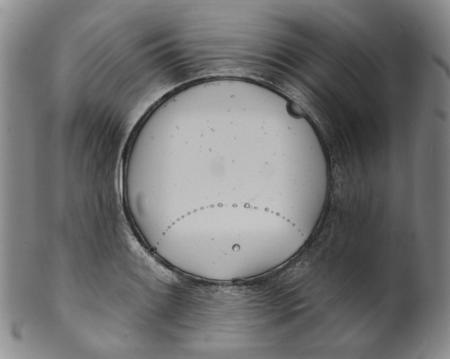 X0000100411084200806271438