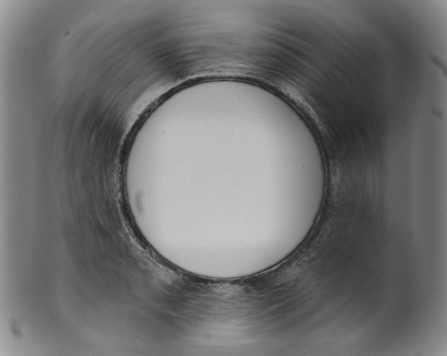 X0000100411085200806271438