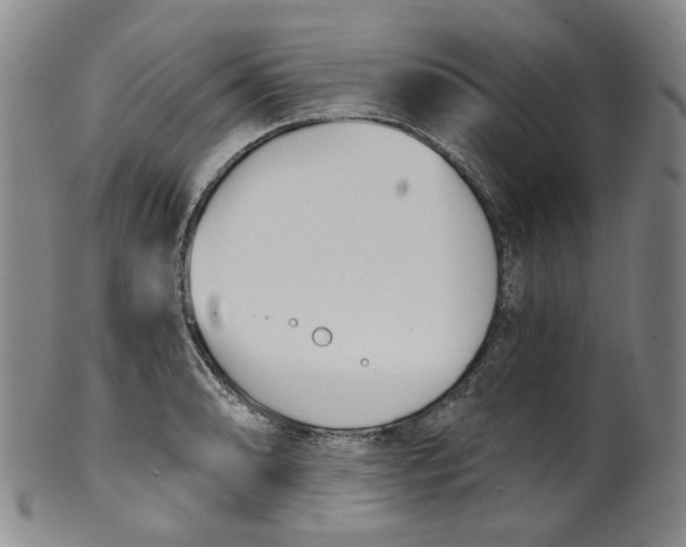 X0000100411086200806271438