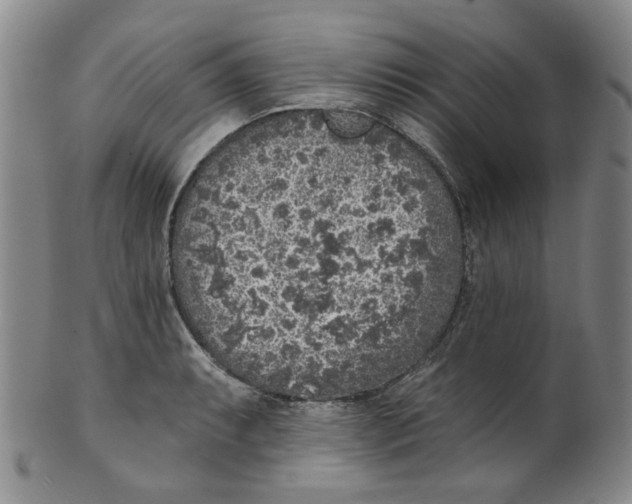 X0000100411087200806271438