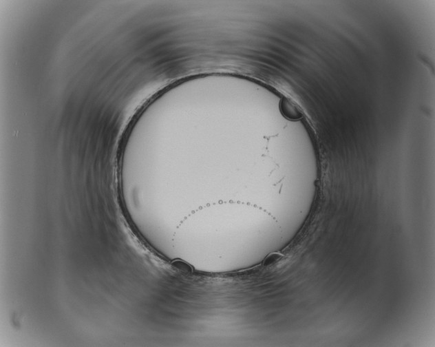 X0000100411088200806271438