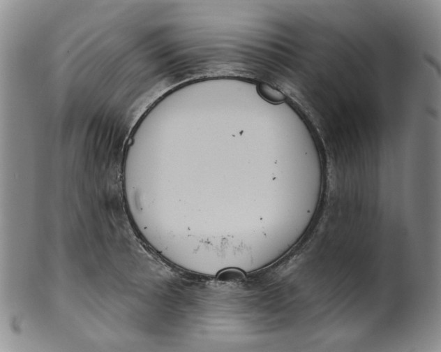 X0000100411089200806271438