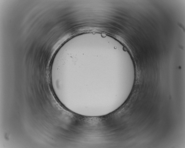 X0000100411090200806271438