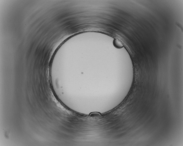 X0000100411092200806271438