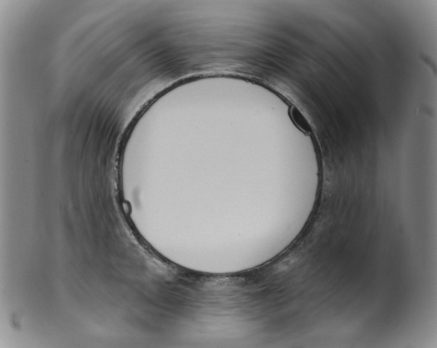 X0000100411093200806271438