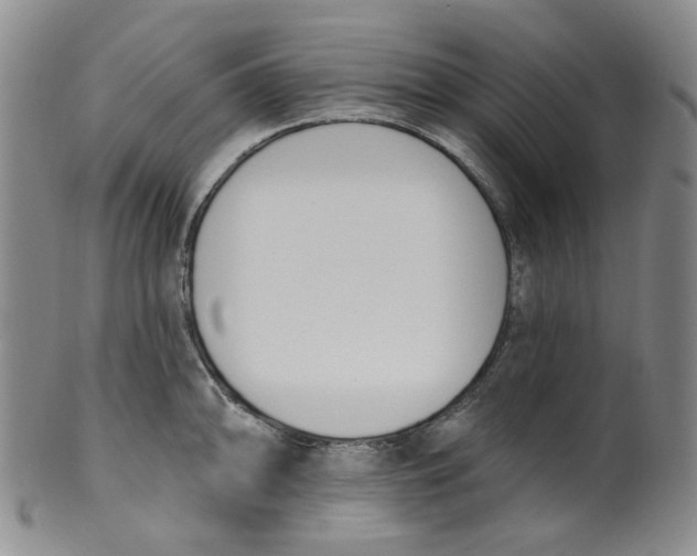 X0000100411094200806271438