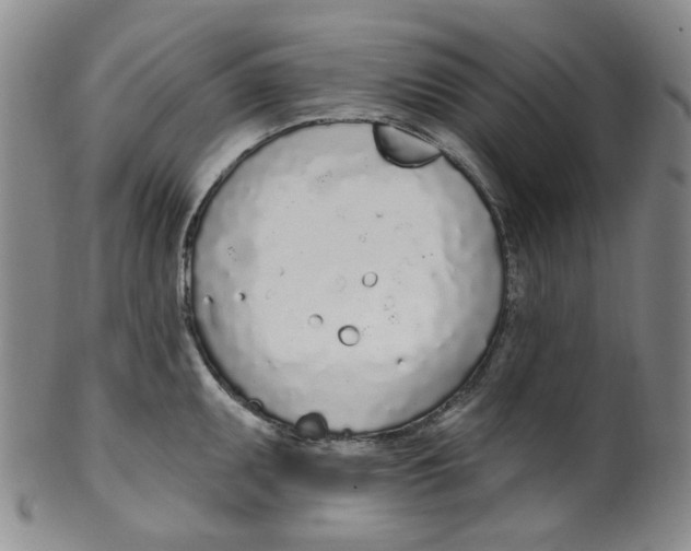 X0000100411095200806271438