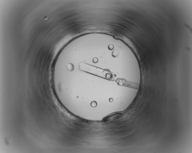 X0000100411096200806271438