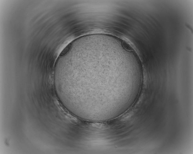 X0000100411097200806271438