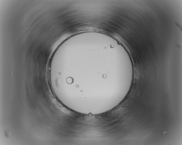 X0000100411098200806271438