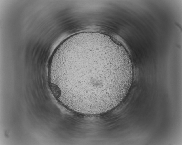 X0000100411099200806271438