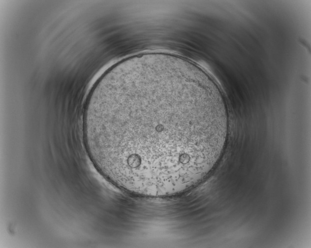 X0000100411100200806271438