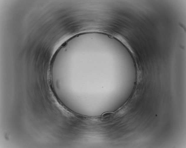 X0000100411101200806271438