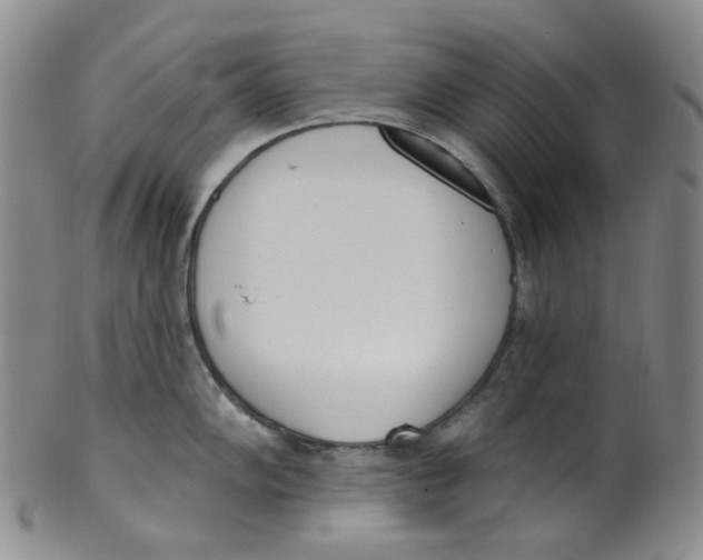 X0000100411102200806271438