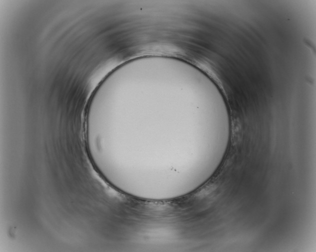 X0000100411103200806271438