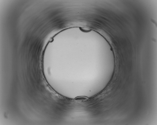 X0000100411104200806271438