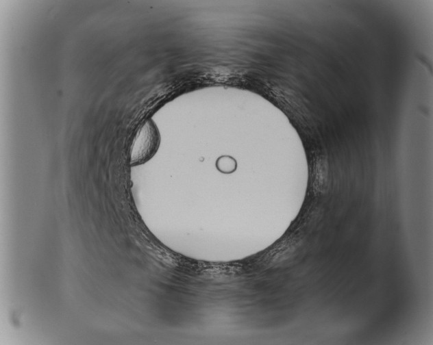 X0000100411105200806271437