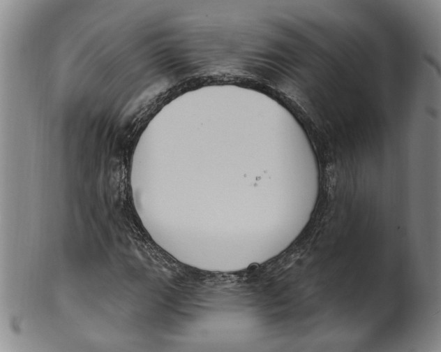 X0000100411111200806271437