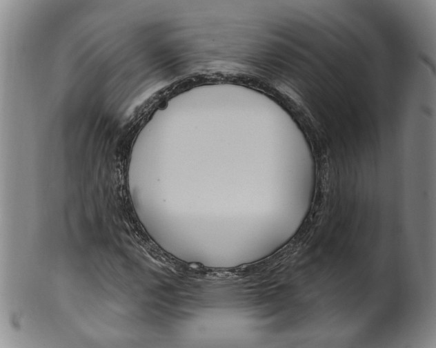 X0000100411112200806271437