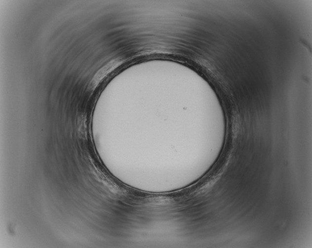 X0000100411113200806271437