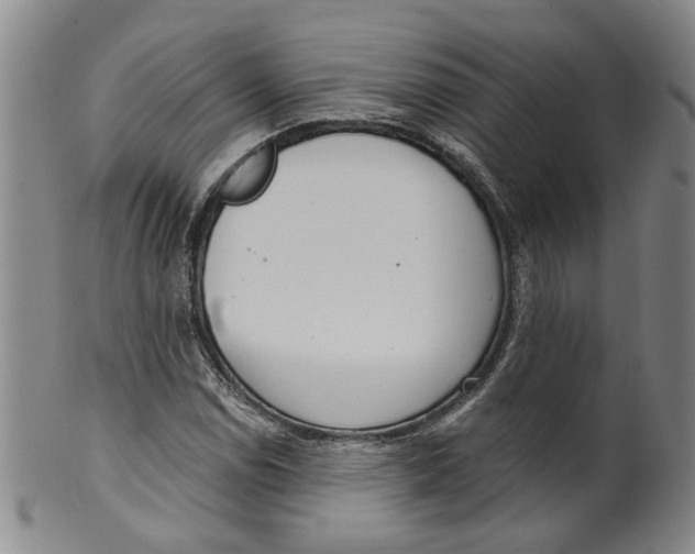 X0000100411114200806271437