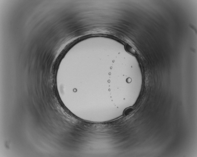 X0000100411116200806271437