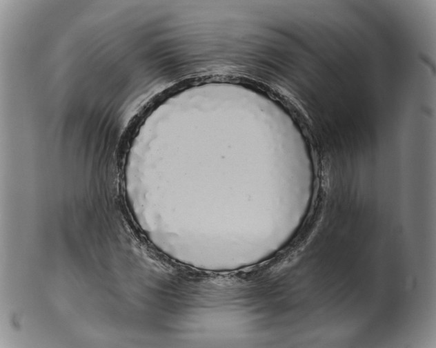 X0000100411117200806271437