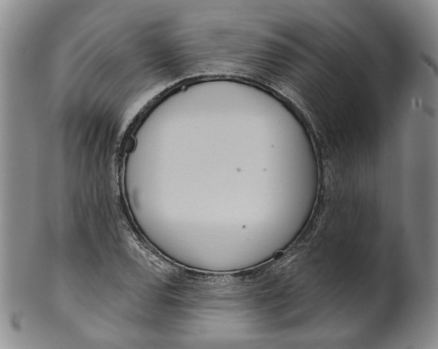 X0000100411120200806271437