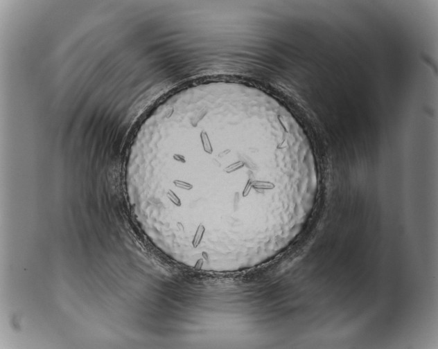 X0000100411121200806271437