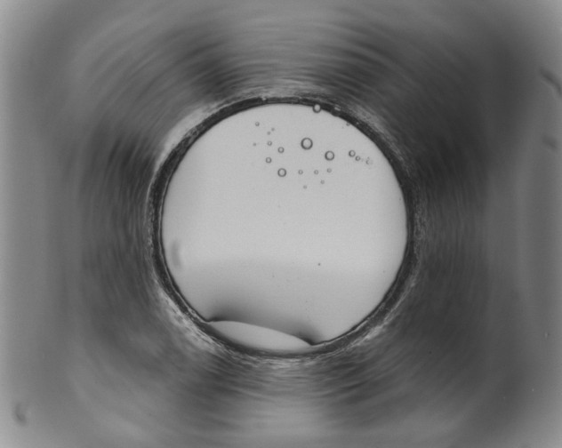 X0000100411122200806271437