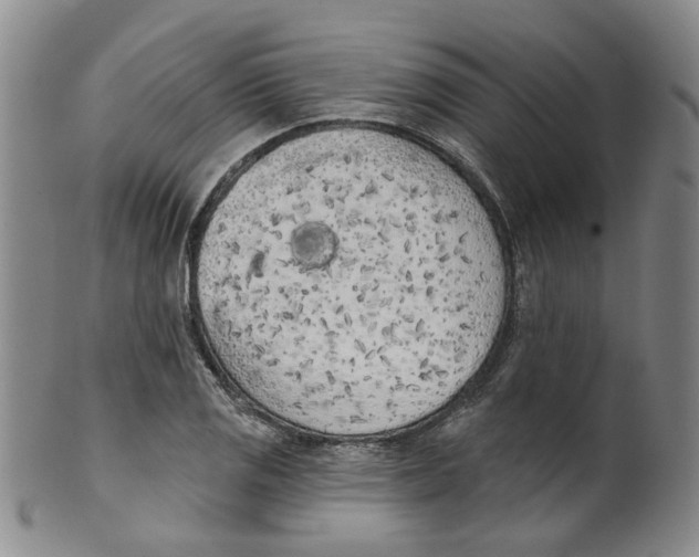 X0000100411125200806271437