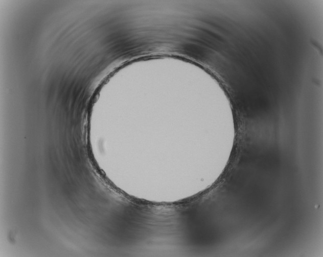 X0000100411126200806271437