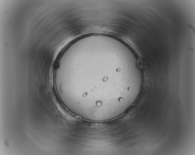 X0000100411128200806271437