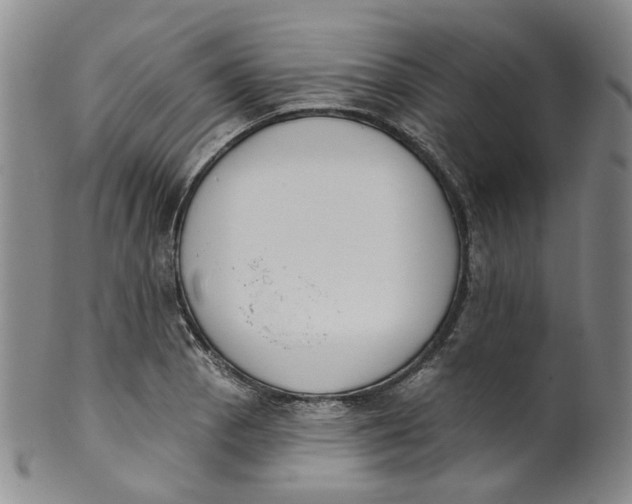 X0000100411129200806271437