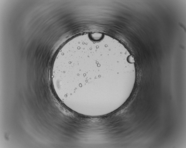 X0000100411130200806271437