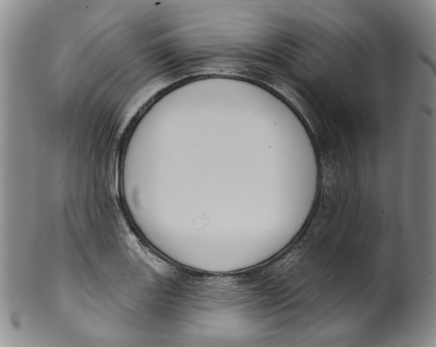 X0000100411131200806271438