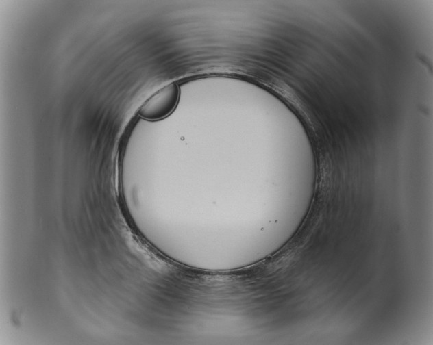 X0000100411132200806271438